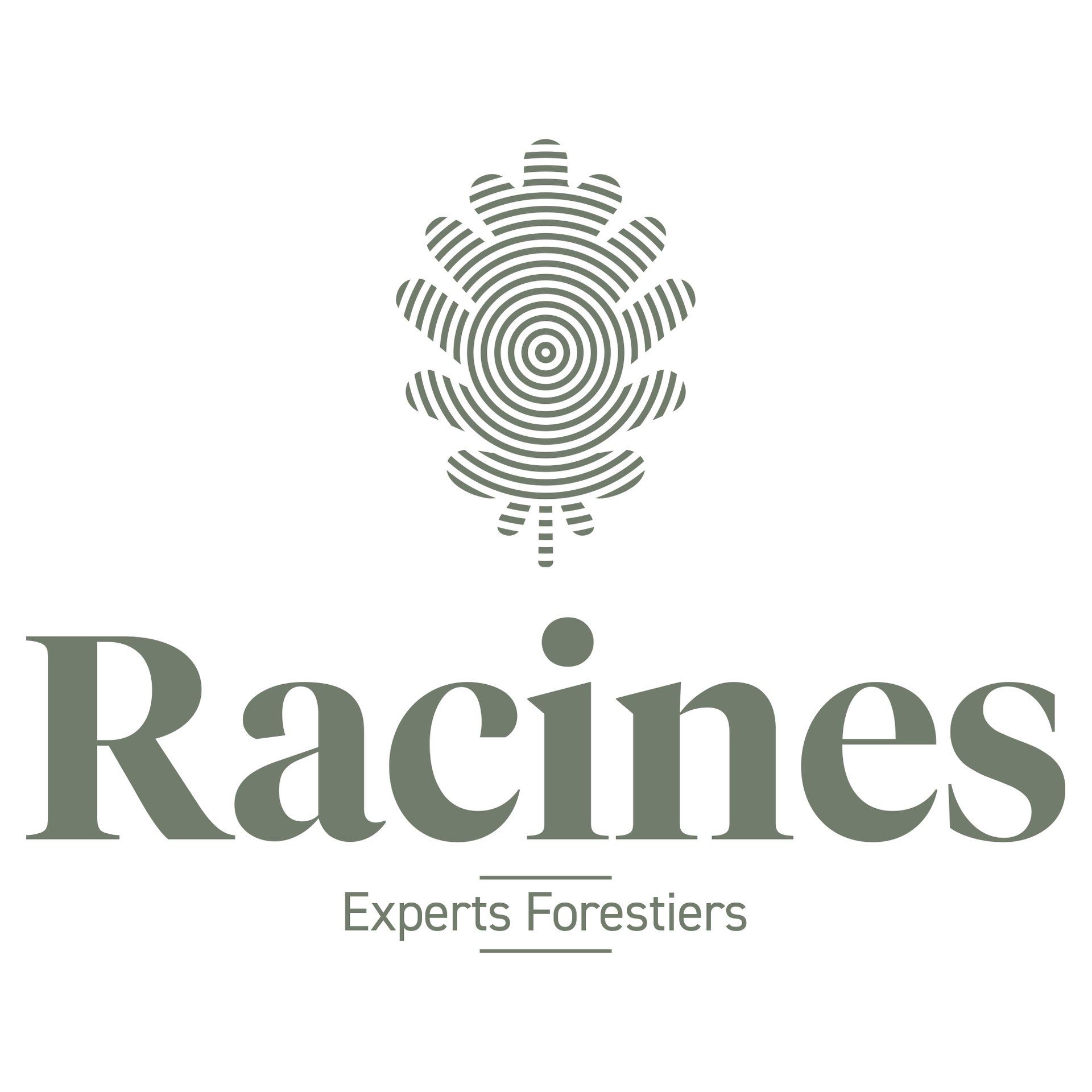 Racines